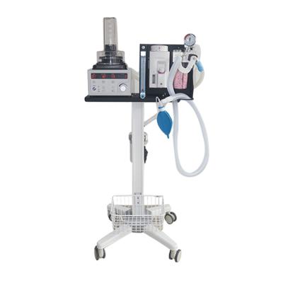 China Vet Clinic Vet Anesthesia Machine Suitable for Vet Clinic and Pet Clinic and Animal Lab for sale