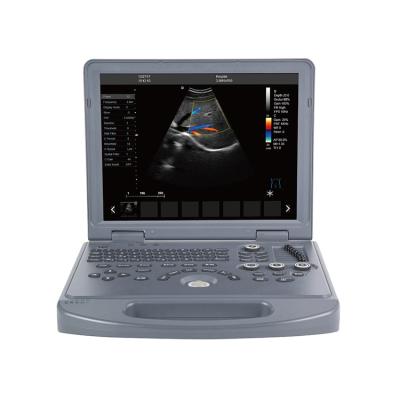 China Metal RB-L3 CHECK CE 15inch Veterinarian Portable Color Doppler Ultrasound Scanner Instrument for sale