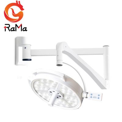 China Good Quality RD-2036B-2 Plastic Surgery Pet Dental Implant Ambulatory Surgery Medical Lamp 36*3W Led for sale