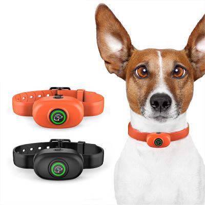 China Small Viable Electric Rechargeable Waterproof Dog Training Collar Shock Dog Training Collar Anti-barking Automatic Vibration Collar for sale