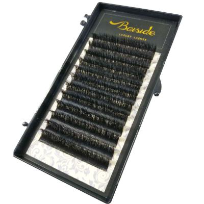 China Hold New Long Term Curl Volume Bulk Eyelash Extension For Sale for sale