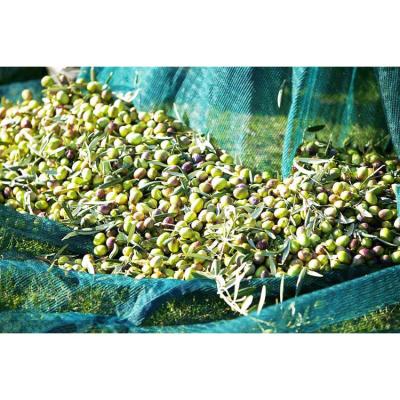 China HDPE 100% Virgin HDPE Material Olive Harvest Olive Tree Net Agricultural Protection Net for sale