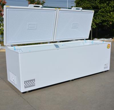 China Customer Country Standard Plug Large Capacity Horizontal Double Door Chest Freezer for sale