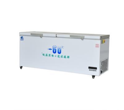 China 960-2600mm Length Ultra-Low Temperature Freezer for Seafood -45 -60 Degrees Celsius for sale