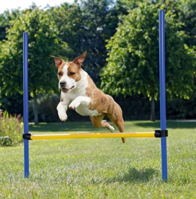 China Viable Outdoor Pet Puzzle Exercise Dog Agility Training Toy for sale