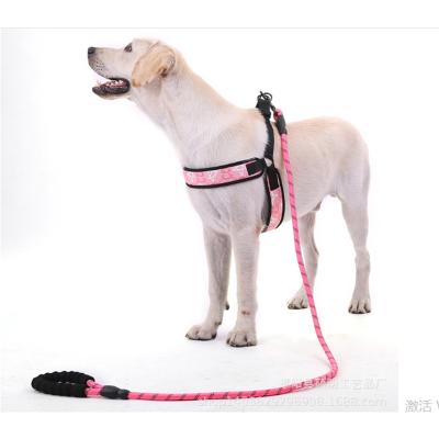 China Sustainable Fashion HaoBay Customized Adjustable PU Dog Collar Choke For Small And Large Dog for sale