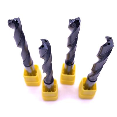 China Metal Drilling Wholesale Price CNC Cutting Tool 5D Solid Tungsten Carbide Twist Drill Bit for sale