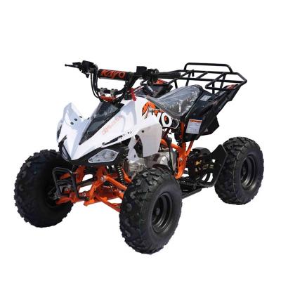 China AY110 Off Road Electric Motorcycle ATV Start ATV Mountain Bike Go Kart Off Road ATV for sale