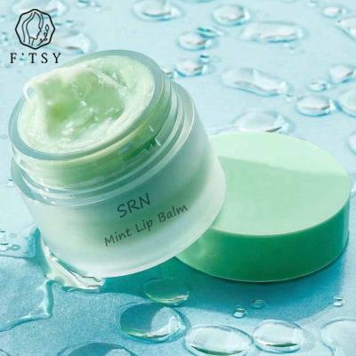 China Private Label Organic Vegan Moisturizing Nourishing Overnight Mint Lip Balm For Skin Care for sale