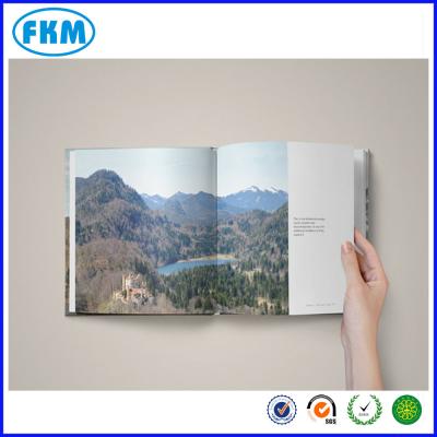 China Custom Heiderberg Photo Book or Digital Scrapbook to Order Design - Printing Extra for sale