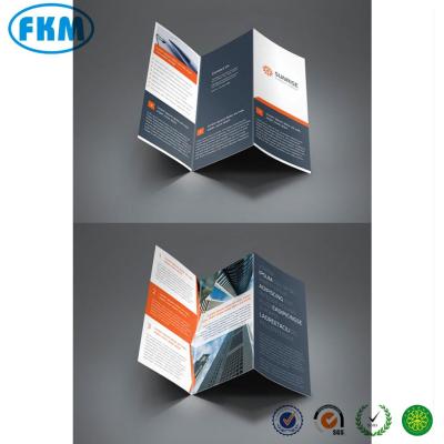 China Heiderberg triple brochure printed for sale