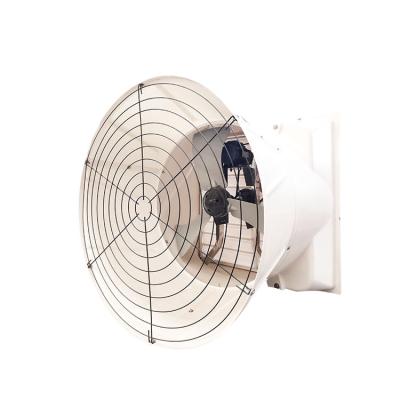 China Qilu Runte Farms Good Selling 1060 36 Inch Blower Wall Mounted Ventilation Fan For Poultry Animal Husbandry Equipment for sale