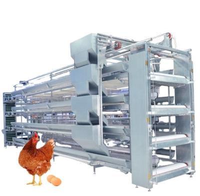 China Durable Hot Selling A Type Poultry Farming Equipment Chicken Cage Layer Chicken Cage for sale