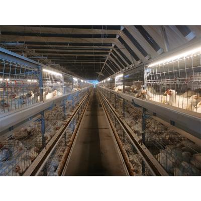 China New Feeding High Quality H - Type Automatic Poultry Breeding Chicken Layer Equipment Egg Cage for sale