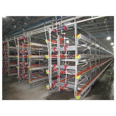 China Feeding To Hot Selling 2022 H - Type Poultry Farming Chicken Layer Equipment Automatic Egg Cage for sale