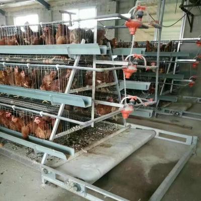 China 2019 Best Selling Durable Chicken House Egg Cage Chicken Cage Farm Animal Poultry Equipment for sale