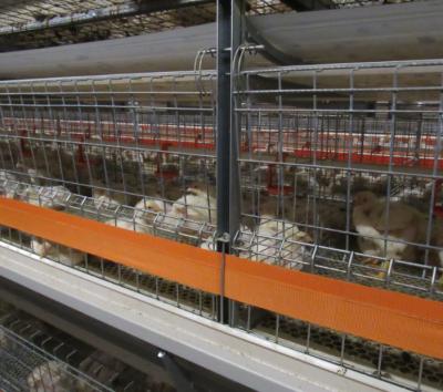 China Automatic Feeding Cage System Poultry Equipment Chicken Feeding H Type Broiler Cage for sale