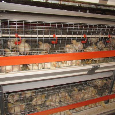 China Hot Selling H Type Automatic Poultry Breeding Chicken Cage Broiler Equipment Galvanized Cage for sale