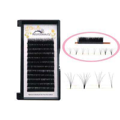 China Worldbeauty Kelly Lash Wholesale Natural Soft Volume Quick Fanning Easy Blooming Eyelash Extensions for sale