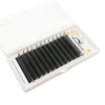 China Worldbeauty YY False Eyelashes Extension Natural Soft Eyelash Glue Glue Extension Wholesale for sale