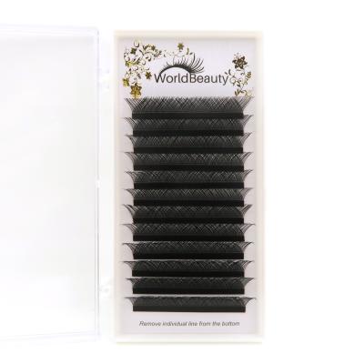 China Worldbeauty Natural Soft High Quality OEM ODM Customized Pre Made Volume Fans Eyelash Extensions Wholesale for sale