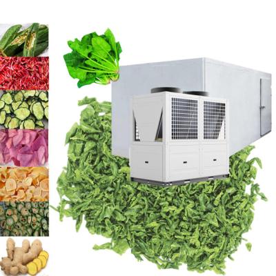 China China industrial commercial fruit and vegetable amaranth/lettuce/bamboo sprout dryer/celery heat pump dryer machine for sale