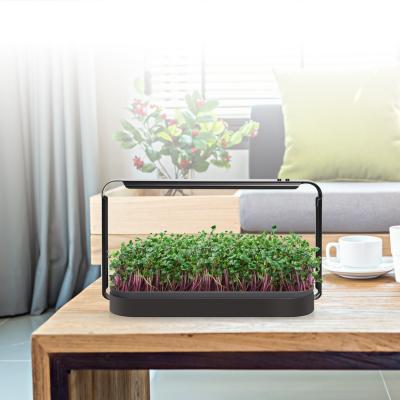 China Sistema de cultivo hidropônico 120 lm/W 16 W luzes de cultivo de mesa espectro total com temporizador à venda