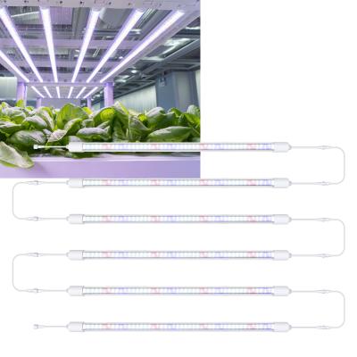 China Waterproof Led Grow Light Bar Grow Lamp Plant Light for Greenhouse Hydroponic Seed Tent Veg with Power Cord for sale