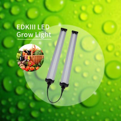 Cina Luci progressive complete sostenibili di spettro LED di coltivazione 6000K per le piantine di verdure in vendita