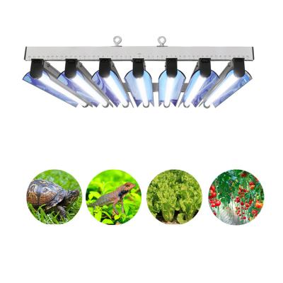 Cina Luce progressiva fluorescente T5 di 3FT in vendita