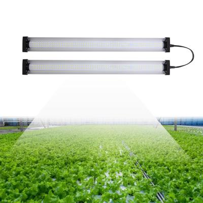 China 380-780nm 4ft Volledige Spectrumleiden kweken de Verticale Landbouw van Lichtence Te koop