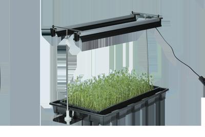 China SMD2835 a iluminação conduzida de cultivo vertical, planta de morango 4ft cresce o dispositivo elétrico claro à venda