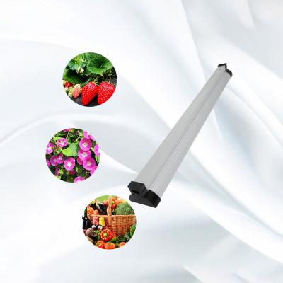 China SMD2835 Strawberry Grow Light , 48W Hydroponic Light Bulb for seed germination for sale