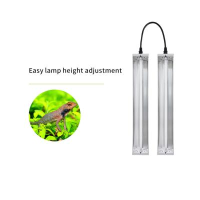 China TUV Standards T5 Fluorescent Grow Light 6400K/2700k For Indoor Tomato Veg for sale