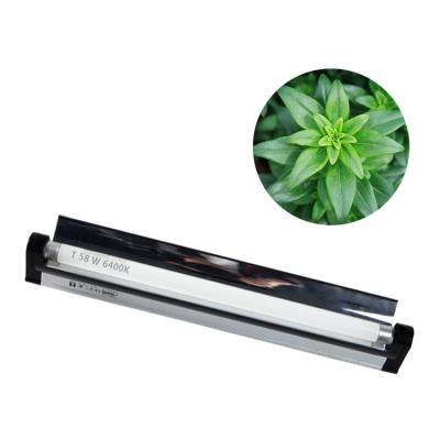 China los 4ft 54W T5 crecen luces de los tubos fluorescentes de la lámpara 2925lm en venta