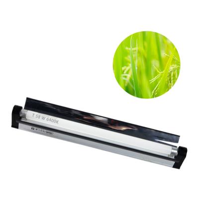 China 17W T5 fluorescentes crescem 1275lm claro para a germinação de aquecimento da semente do réptil à venda