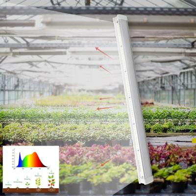 China Seed Starting VEG Waterproof Plant Light 3000k Customised Warm White IP65 Strip Light for sale