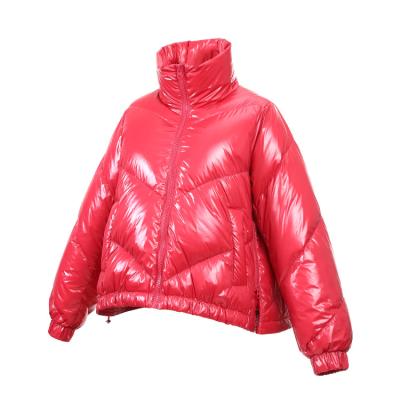 China Feng wang waterproof ladies down zipper jacket designer girls winter jacket women's short anorak for sale