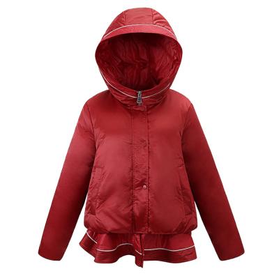 China Feng Feng Wang's Designer Jacket Skirt Small Ladies Down Jacket Girls Winter Girls Shorts Boxy Cool Anorak for sale