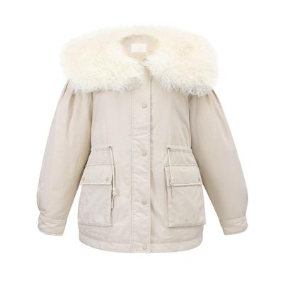 China Feng Feng Wang Ladies Warm Fur Collar Breathable Down Medium Designer Jacket Style Girls Winter Style for sale