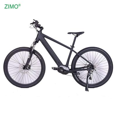 China 2021 Hot Selling Aluminum Alloy Pedal Assist Mountain Electric Bike for sale