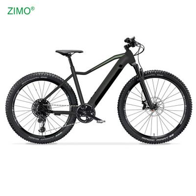 China 2021 Wholesale Aluminum Alloy Pedal Assist Mountain E-Bike For Adult for sale