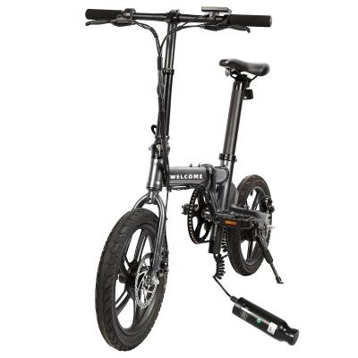 China New folding ebike 14