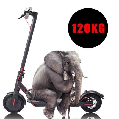 China Germany Warehouse Unisex Drop Shipping China Electric Scooter 10.5ah Battery 2 Wheel Folding Electric Scooters For Sale for sale