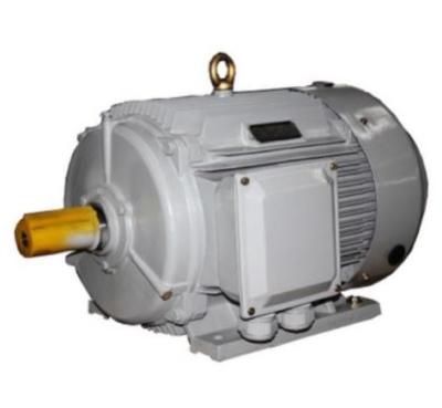 China IP55 YE3 Series High Efficiency Three Phase Asynchronous Motor for sale