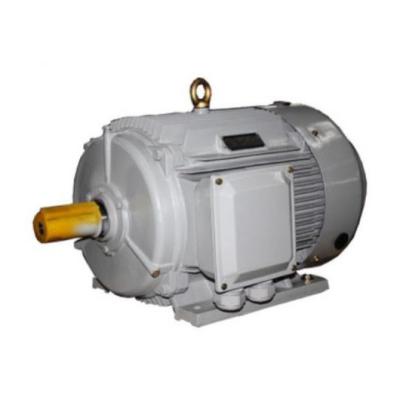 China High Quality IP55 YE4 High Efficiency Three Phase Asynchronous Motor for sale