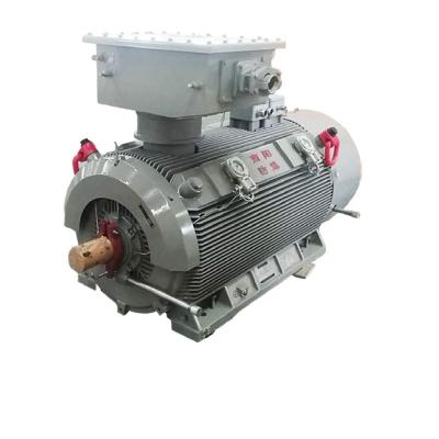 China IP55/65/56 YX3 high efficiency and high voltage three-phase asynchronous motor (315-560 frame size) for sale