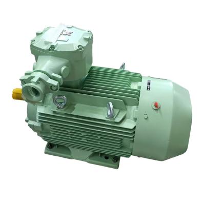 China Explosion-proof YBBP high voltage explosion-proof variable frequency speed regulating three-phase asynchronous motor (frame size 630-900) for sale