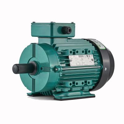 China Crompton W Series Explosion Proof Cast Iron Wolong Motor IE3 Industry Three Phase Motor for sale