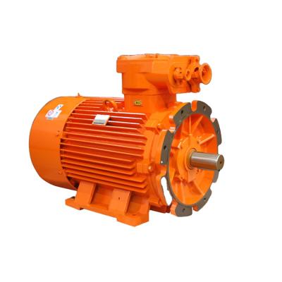 China Hot Selling High Quality Industrial Asynchronous Three Phase AC Motor Explosion Proof Dustproof AC Motor Low MOQ for sale